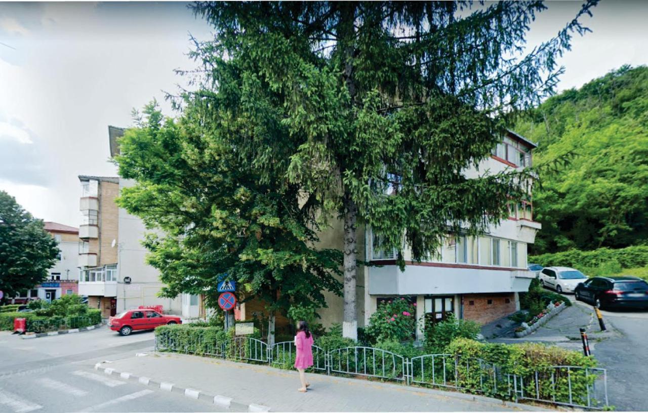 Ferienwohnung Vero Apartament Central Rm Valcea Râmnicu Vâlcea Exterior foto
